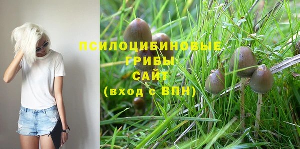 мяу мяу мука Арсеньев