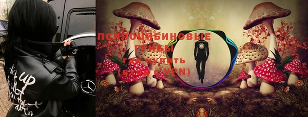 мяу мяу мука Арсеньев