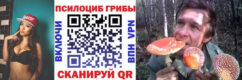MEGA вход  Рассказово  Галлюциногенные грибы Magic Shrooms  наркота 